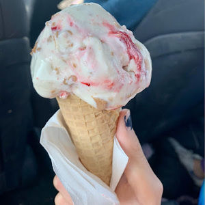 Meet your Posher, Emma